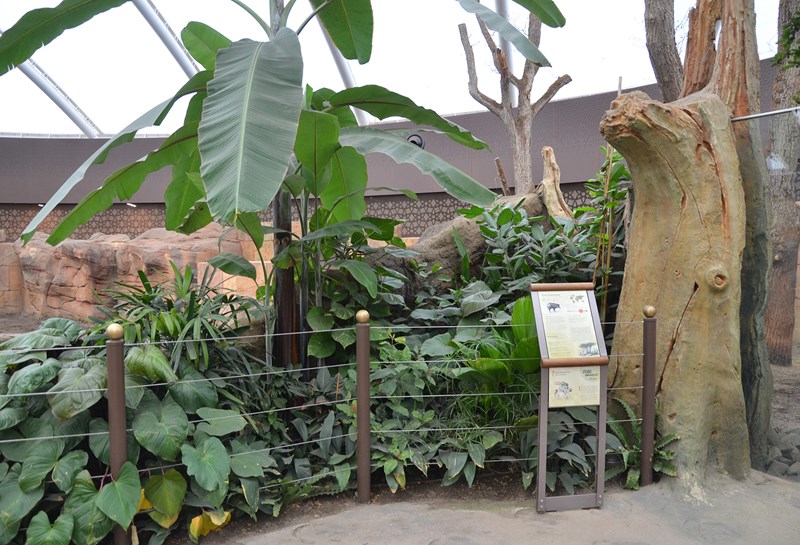 Zoo Berlin Nashorn-Pagode 1