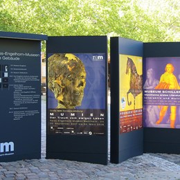 Reiss-Engelhorn-Museum