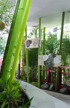 Panda Garden 2