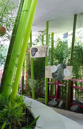 Panda Garden 2