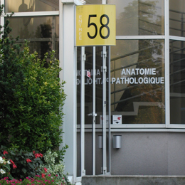 System Sieben Fahnenwegweiser 4