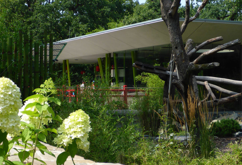 Zoo Berlin, Panda Garden 20