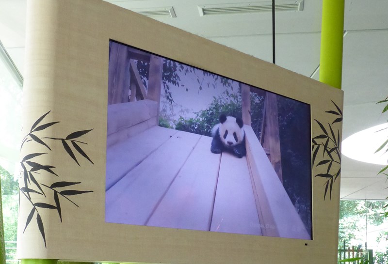 Zoo Berlin, Panda Garden 1
