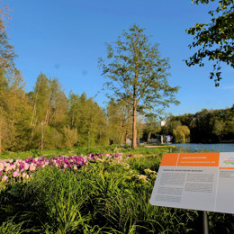 LAGA BG 20 F Terhorst