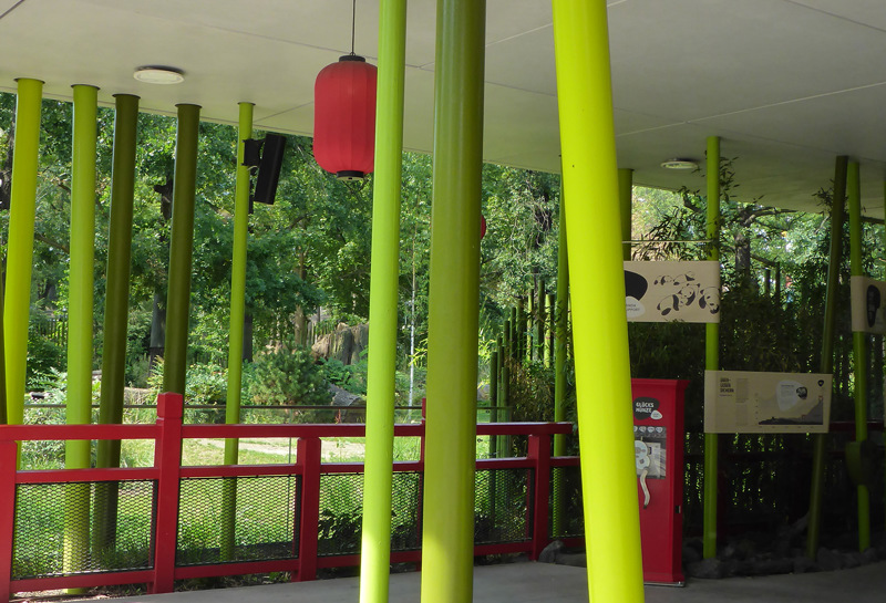 Zoo Berlin, Panda Garden 16