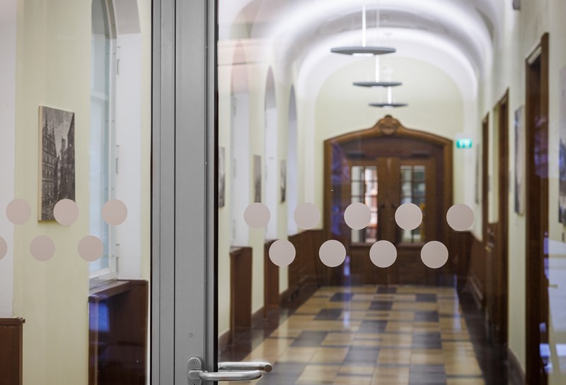 Rathaus und Palais Prinz Carl 1