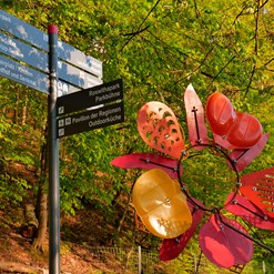 Sternwegweiser RARIM