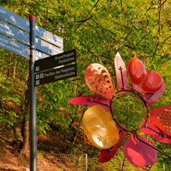 Sternwegweiser RARIM