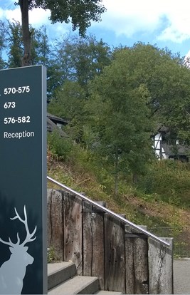 Dorint Hotel Winterberg 9