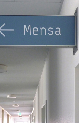 Gss Leimen Kubowitz 14