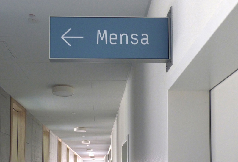 Geschwister-Scholl-Schule 12