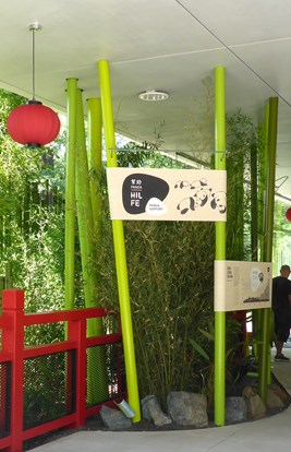 Panda Garden 6