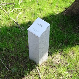 FS 35 Baumkennzeichnung
