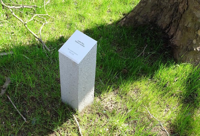 Frankfurt School of Finance 21