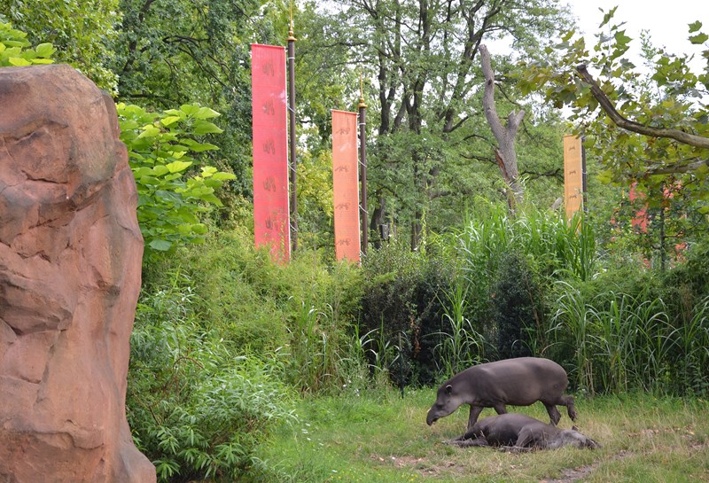 Zoo Berlin Nashorn-Pagode 1
