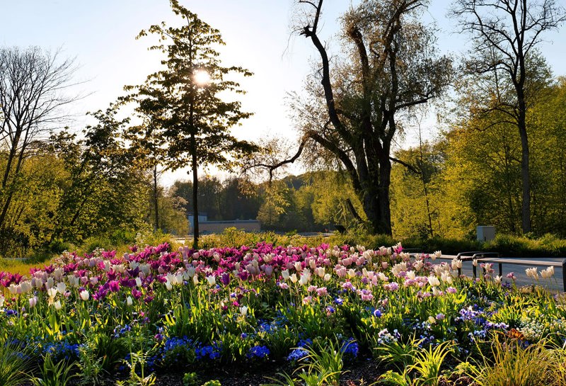 LAGA Bad Gandersheim 2