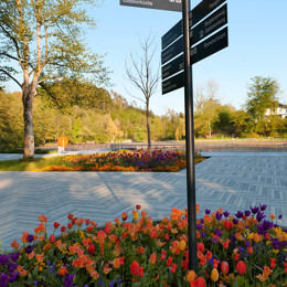 LAGA BG 19 F Terhorst