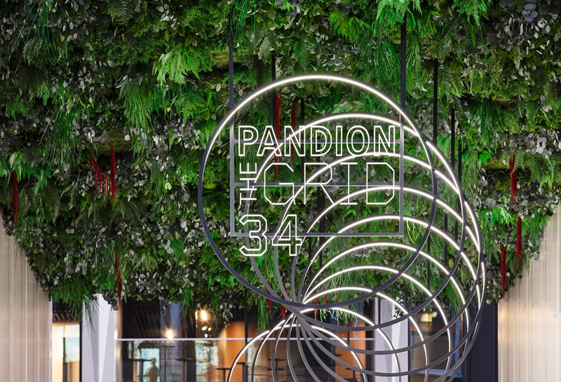 PANDION 1