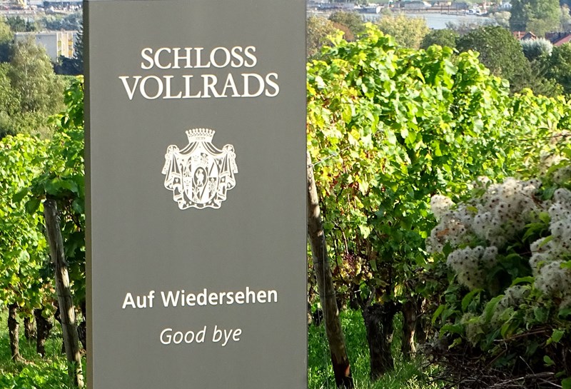 Schloss Vollrads 1
