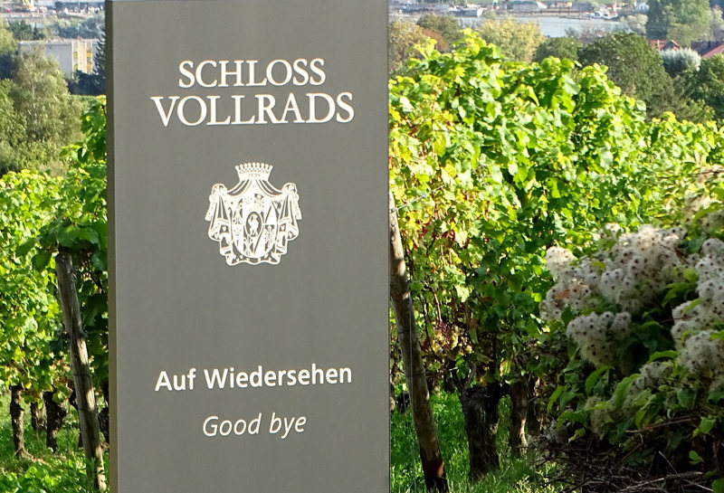 Schloss Vollrads 10