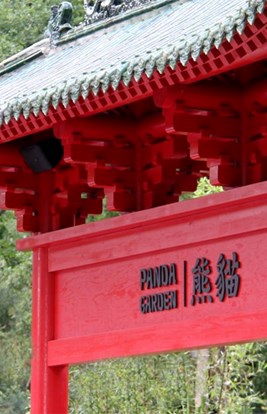 Panda Garden 1 1