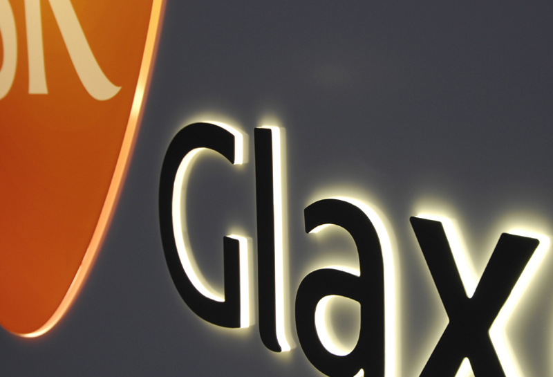 GlaxoSmithKline Biologicals 8