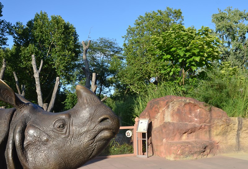 Zoo Berlin Nashorn-Pagode 1