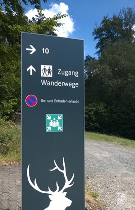 Dorint Hotel Winterberg 5