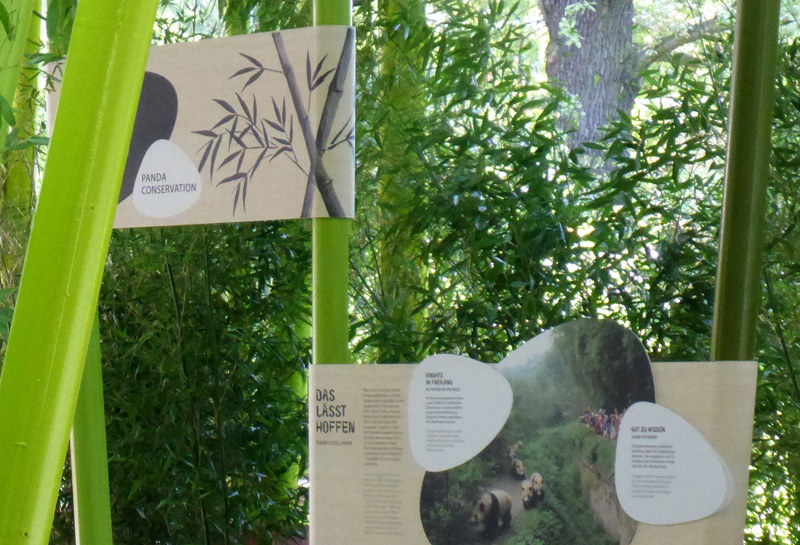 Zoo Berlin, Panda Garden 12