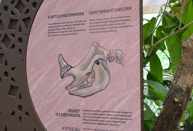 Zoo Berlin Nashorn-Pagode 1