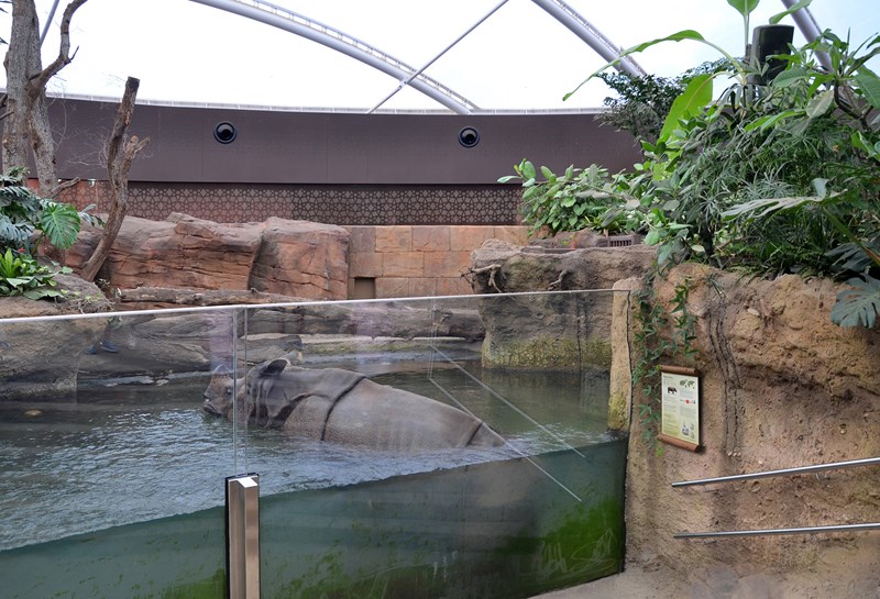 Zoo Berlin Nashorn-Pagode 1