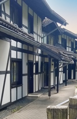 Dorint Hotel Winterberg 8