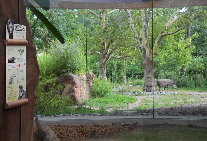 Zoo Berlin Nashorn-Pagode 1