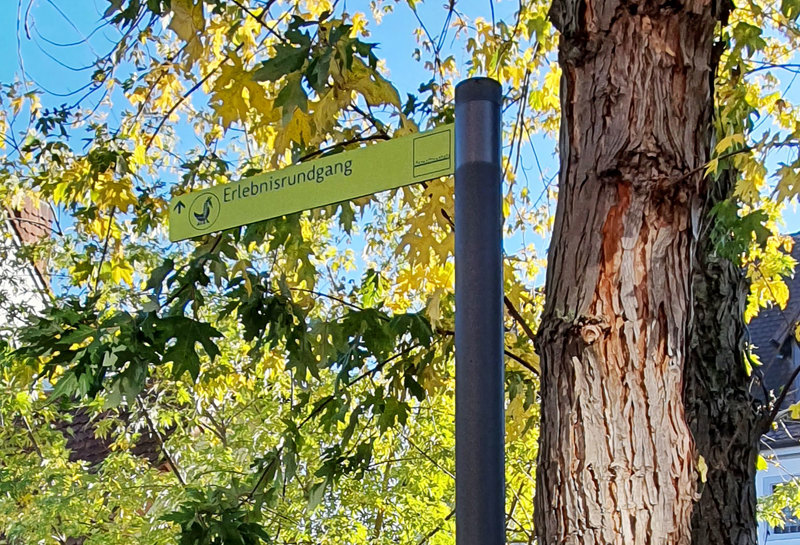 Stadtleitsystem Neustadt 19