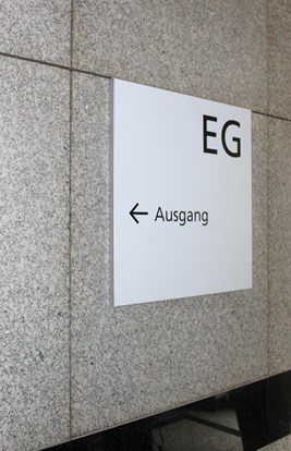 IMG 6330