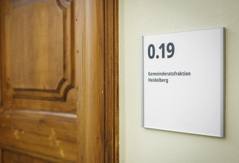 Rathaus und Palais Prinz Carl 1