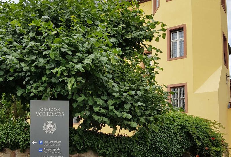 Schloss Vollrads 25