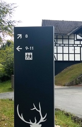 Dorint Hotel Winterberg 2