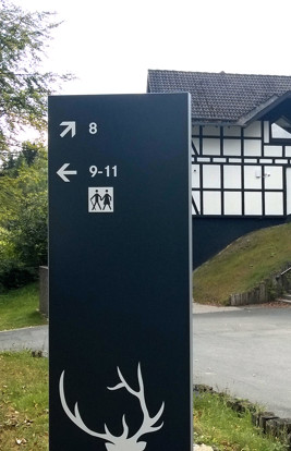 Dorint Hotel Winterberg 2