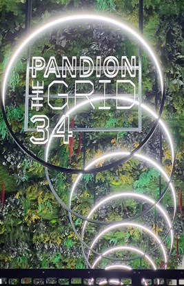 Pandion 45