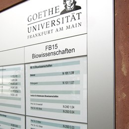 Wechselmodule QVM Buendig Implementiert Goethe Uni Ffm 2